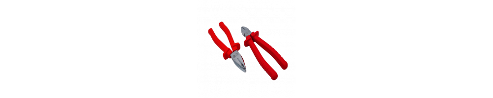 Pinzas