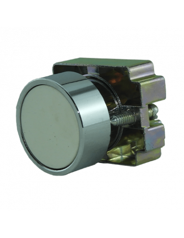 Boton 22mm no iluminado metal