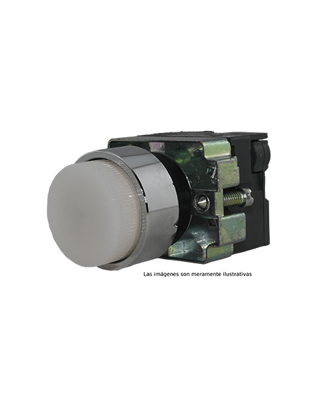 Boton 22 mm iluminado metal