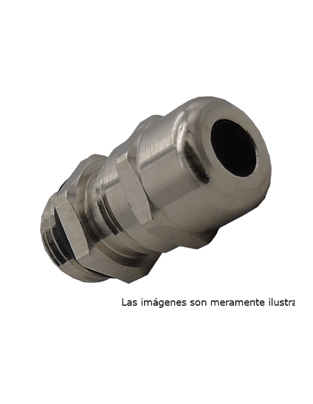 Conector Glandula