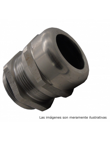 Conector Glándula M50 latón