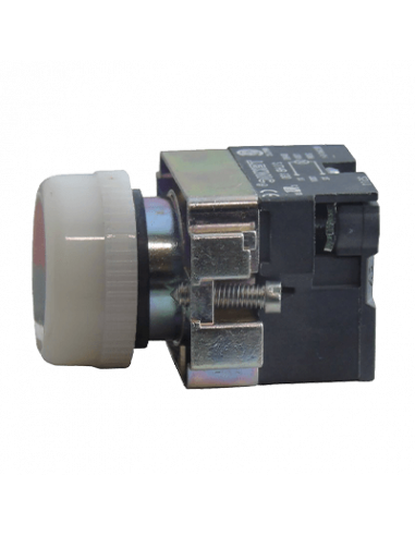 Lámpara piloto 22mm metal