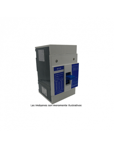Modelo DS1250-200