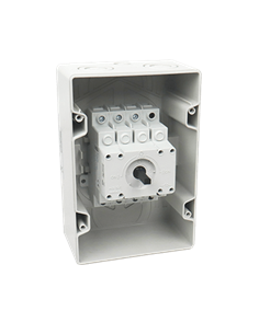 Interruptor de Transferencia en Gabinete 2